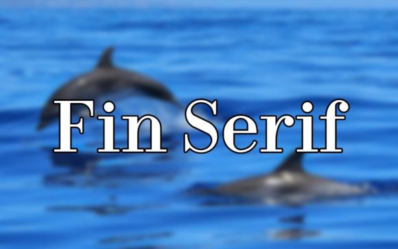 Fin Serif: A Beautiful Font for a Polished Brand