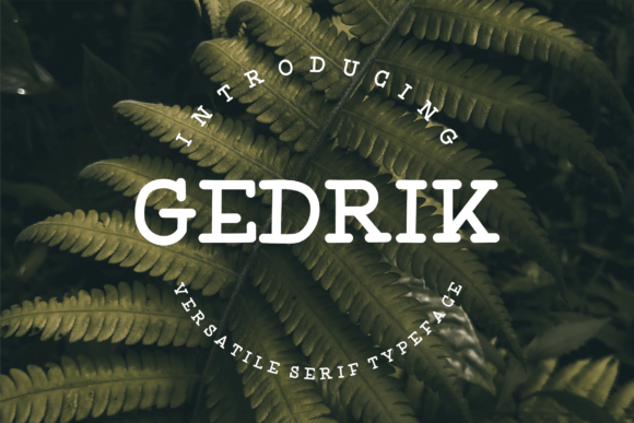 Gedrik Font: A Versatile Typeface for Digital Design