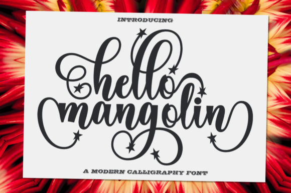 Hello Mangolin: A Font That Elevates Your Brand