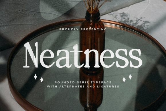 Neatness Typeface: A Modern Serif Font for Web Design