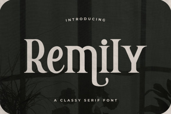 Remily Typeface: A Web Designer’s Love Letter to Classy Serifs